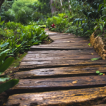 How to Install a Wooden Walkway